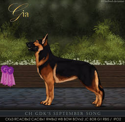 Ch. GDK's September Song