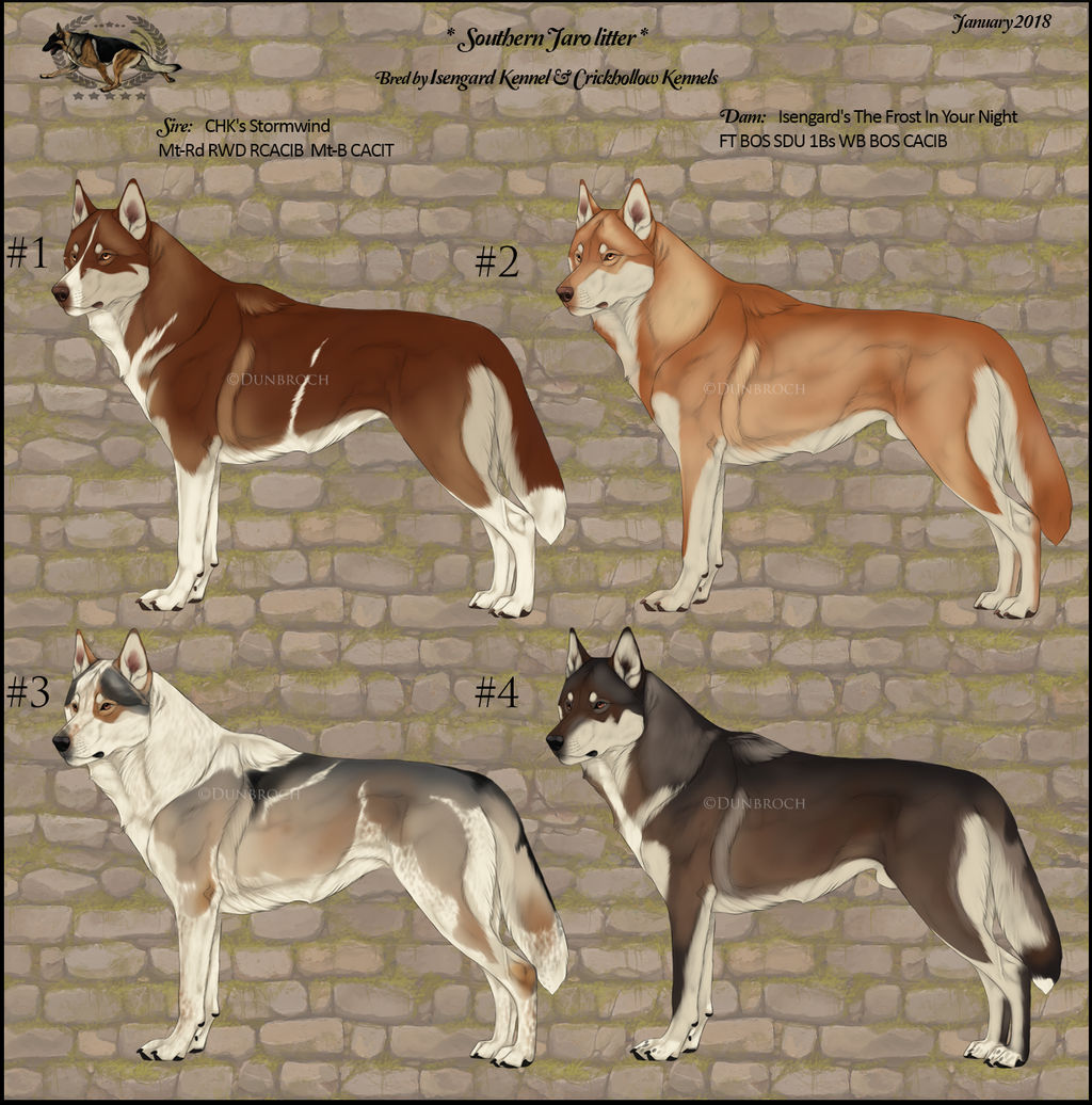 Jaro Litter Kian X Penelope Closed By Runestorm7 On Deviantart Jaro Litter Kian X Penelope Closed By Runestorm7 On Deviantart