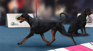 World Dog Show 2018- Somela Main Entry