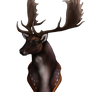 Mount- Gold fallow deer