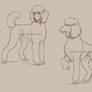 Poodles sketch