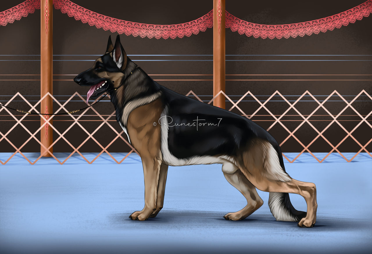 Color Bash- Bagheera by Runestorm7 on DeviantArt