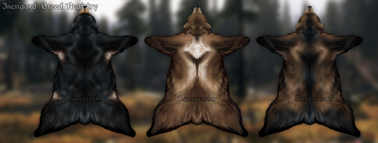 Bear Skin Rune IBR- Bear by Runestorm7 on DeviantArt