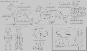 Illustrated Standard- Classic Rifle