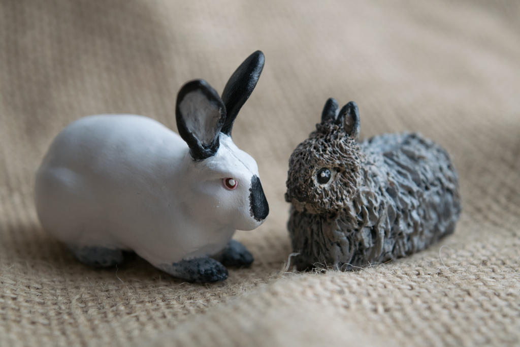 Californian and Jersey Woolly Rabbit Sculptures