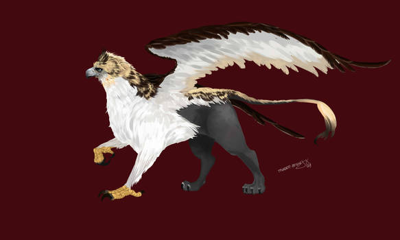 Philippine Eagle Griffin Concept