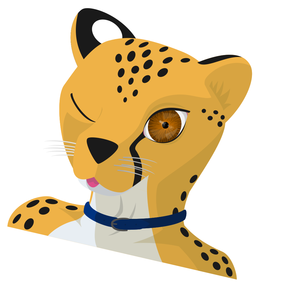 Cheetah Wink