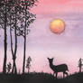 Sunset Deer