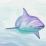 Purple Shark