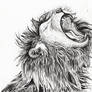 Lion Rawr