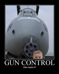 Who needs gun control