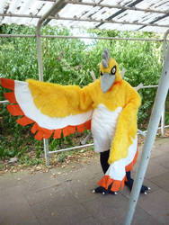 Shiny Ho-Oh Cosplay - Connichi 2012