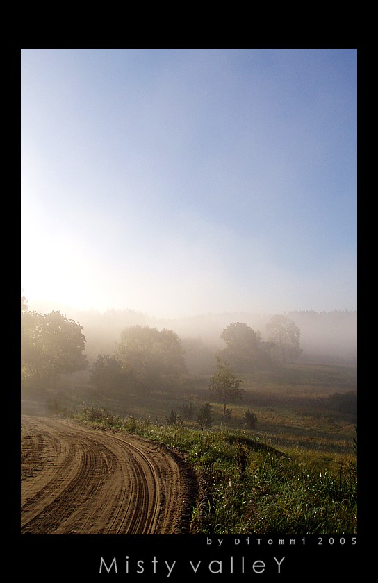 Misty valleY