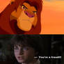 Harry Potter gets really really mad at Simba by SousukeKairyuu on ...