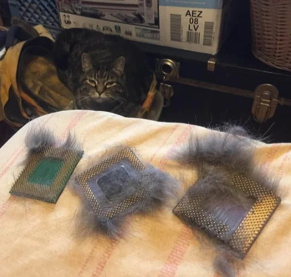 Furry CPU by CPU-Mark on DeviantArt