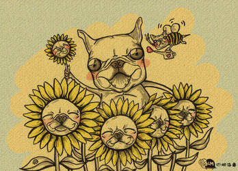 doggie sunflowers
