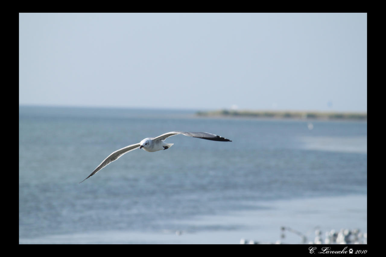 By the sea