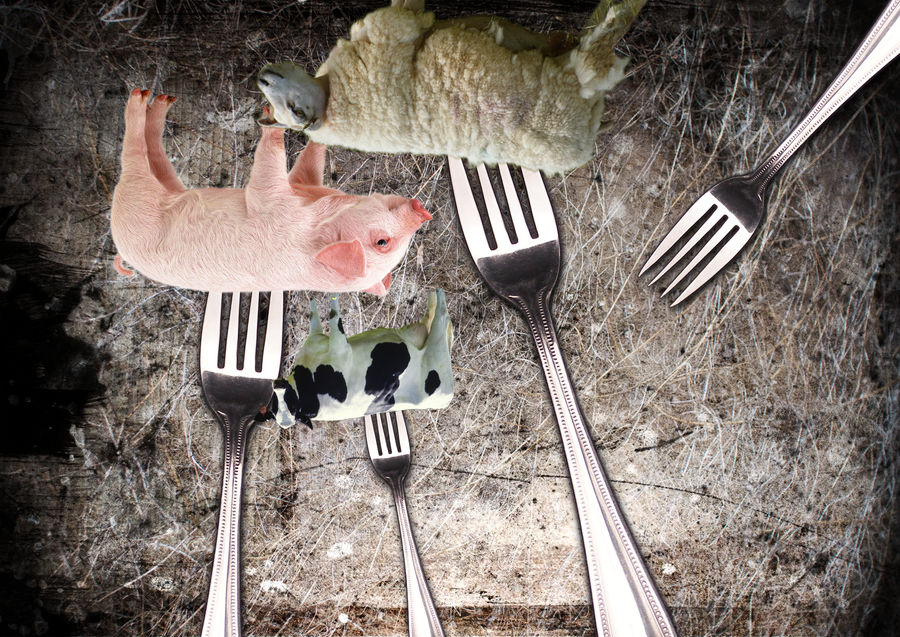 Meat Project 8 by RkChimaira on DeviantArt