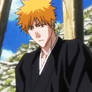 Ichigo and Kon *In movie 3