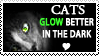 Cats Glow Better in the Dark:D