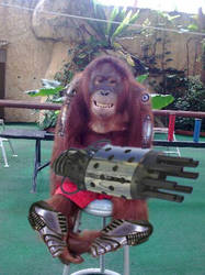 The Orangutank