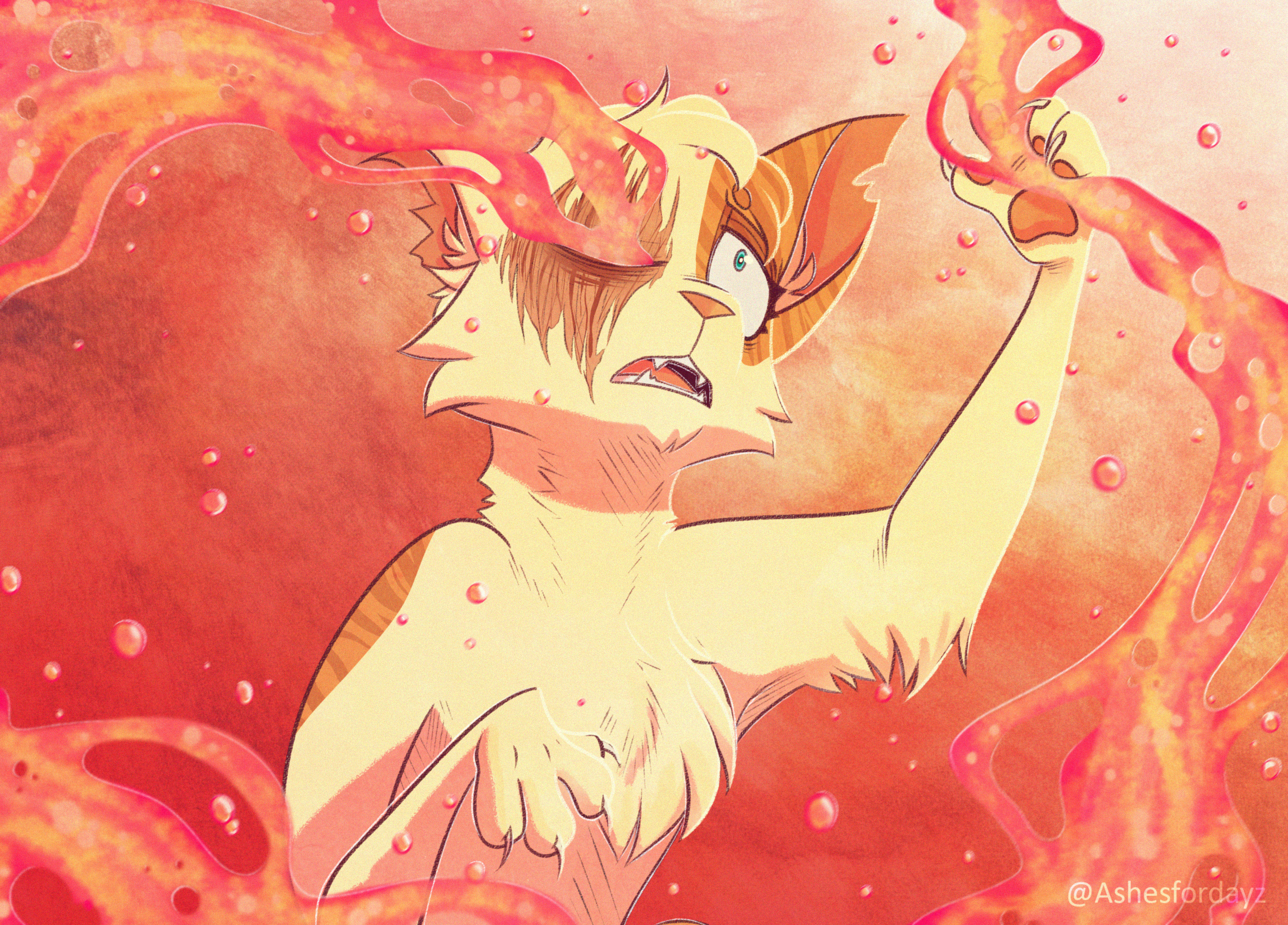 Brightheart Redraw Warrior Cats By Ashesfordayz On Deviantart Brightheart Redraw Warrior Cats By Ashesfordayz On Deviantart