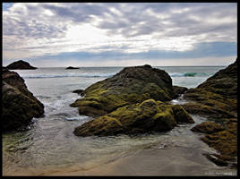 Watching over the tide