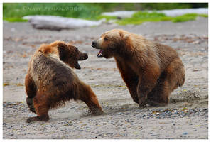 Battle at Katmai part III