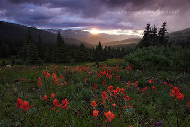 Paintbrush Pass