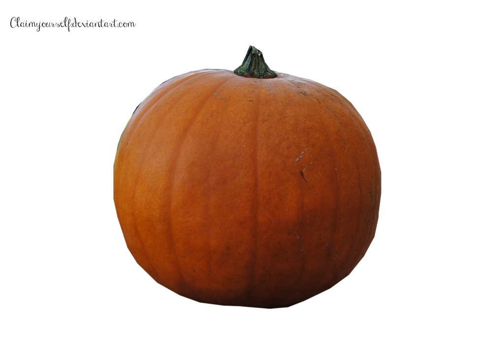 Pumpkin PRECUT PNG Stock