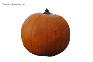 Pumpkin PRECUT PNG Stock