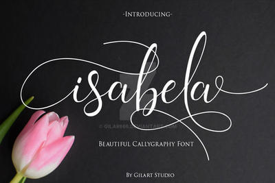isabela | A Beautiful Callygraphy Font