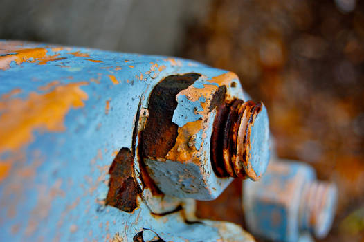 Rusted Nut and Bolt