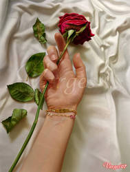 Rosa by Varges