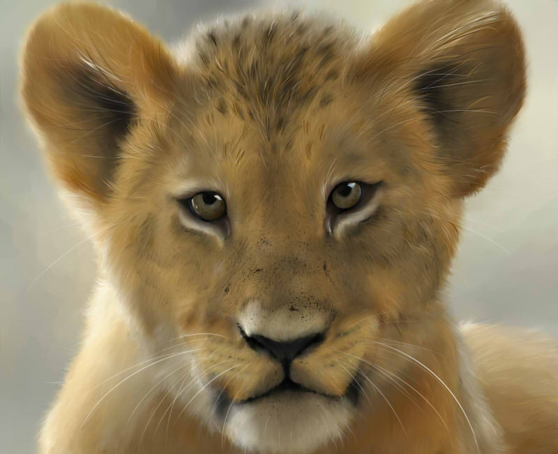 Lion Cub Painting