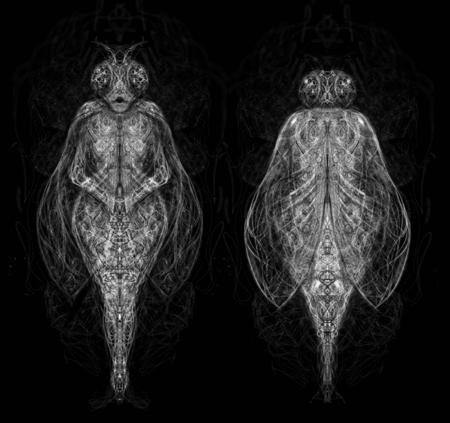 Mx. Fly by deep0ne on DeviantArt