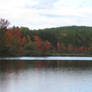 454 fall color on Burnt Meadow Pond