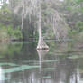 057 Weeki Wachee Springs