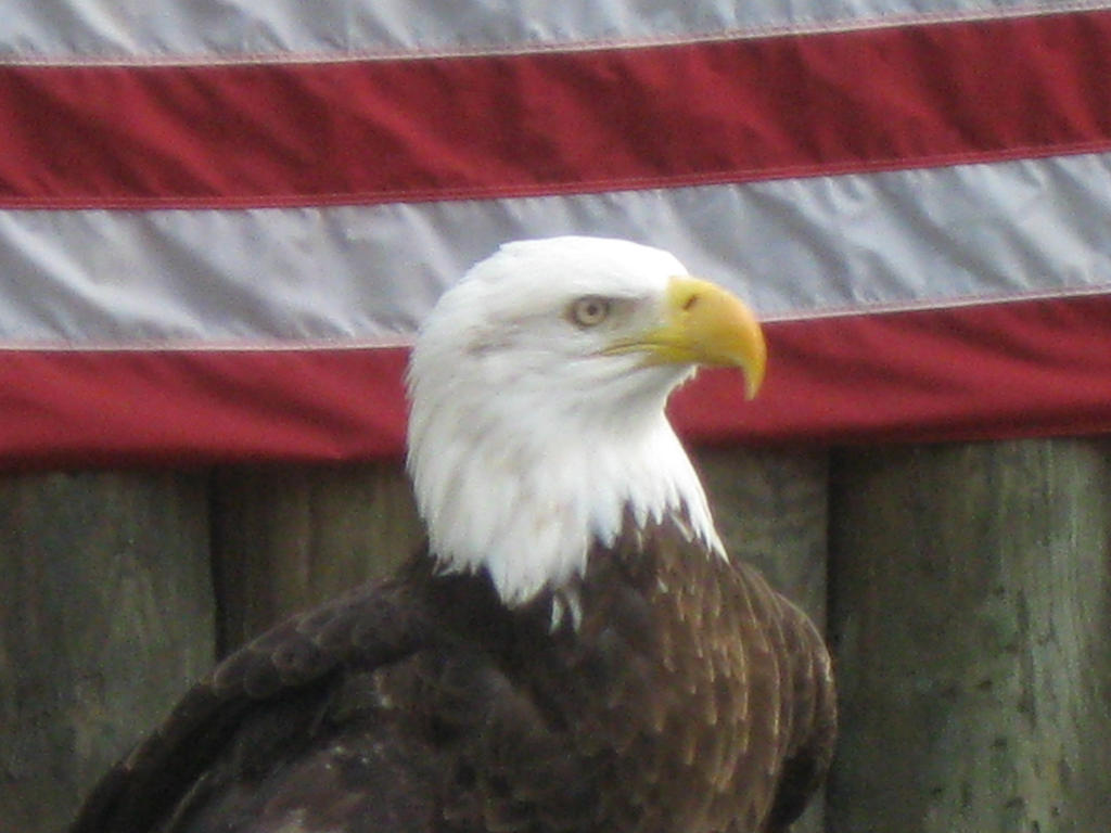 337 Homosassa State Wildlife Park