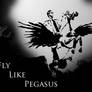 Fly like pegasus