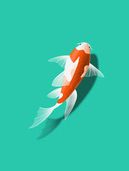 Koi-Fish