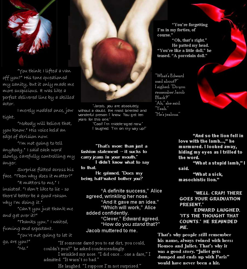 Many Quotes Of The Twilights