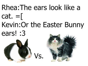 Easter Bunny Vs. Cat