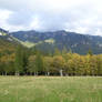 nature_1