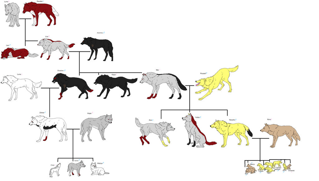 Sauske And Luna Family Tree Collab by Soraply11 on DeviantArt