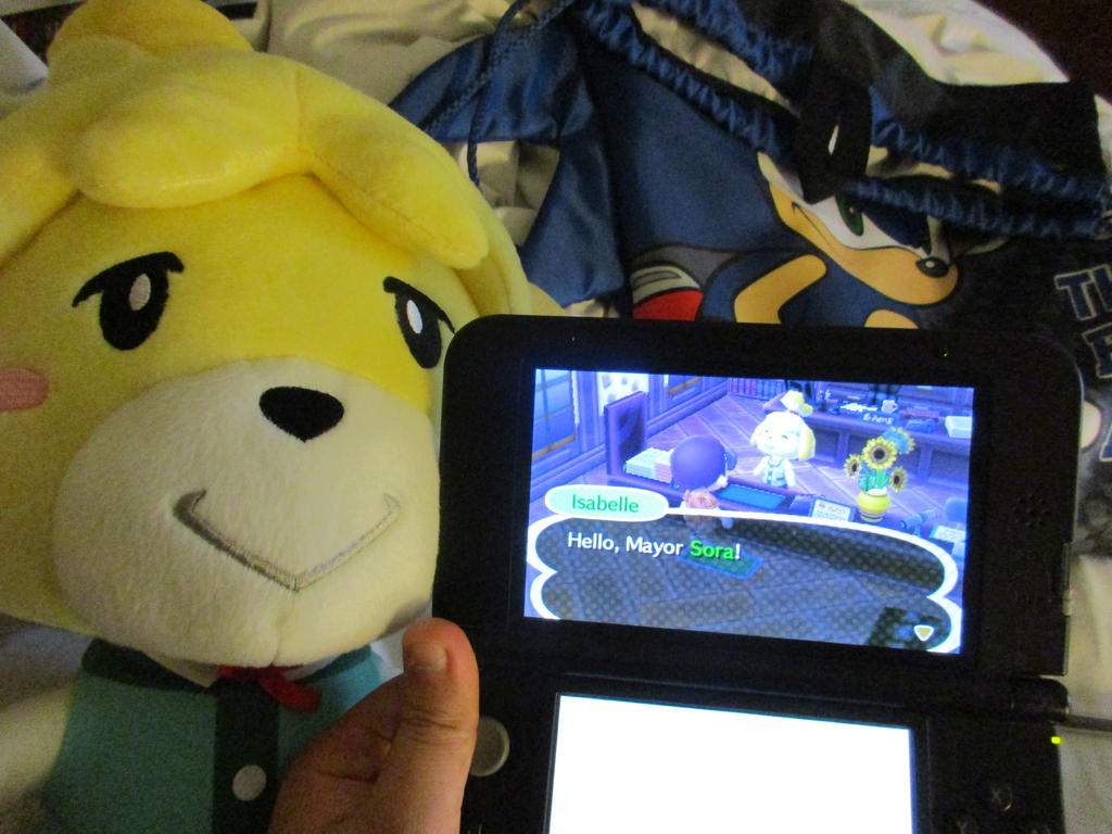 AMW15: Hello Isabelle by Soraply11 on DeviantArt