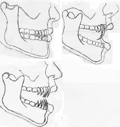 Ba'at Teeth sketches