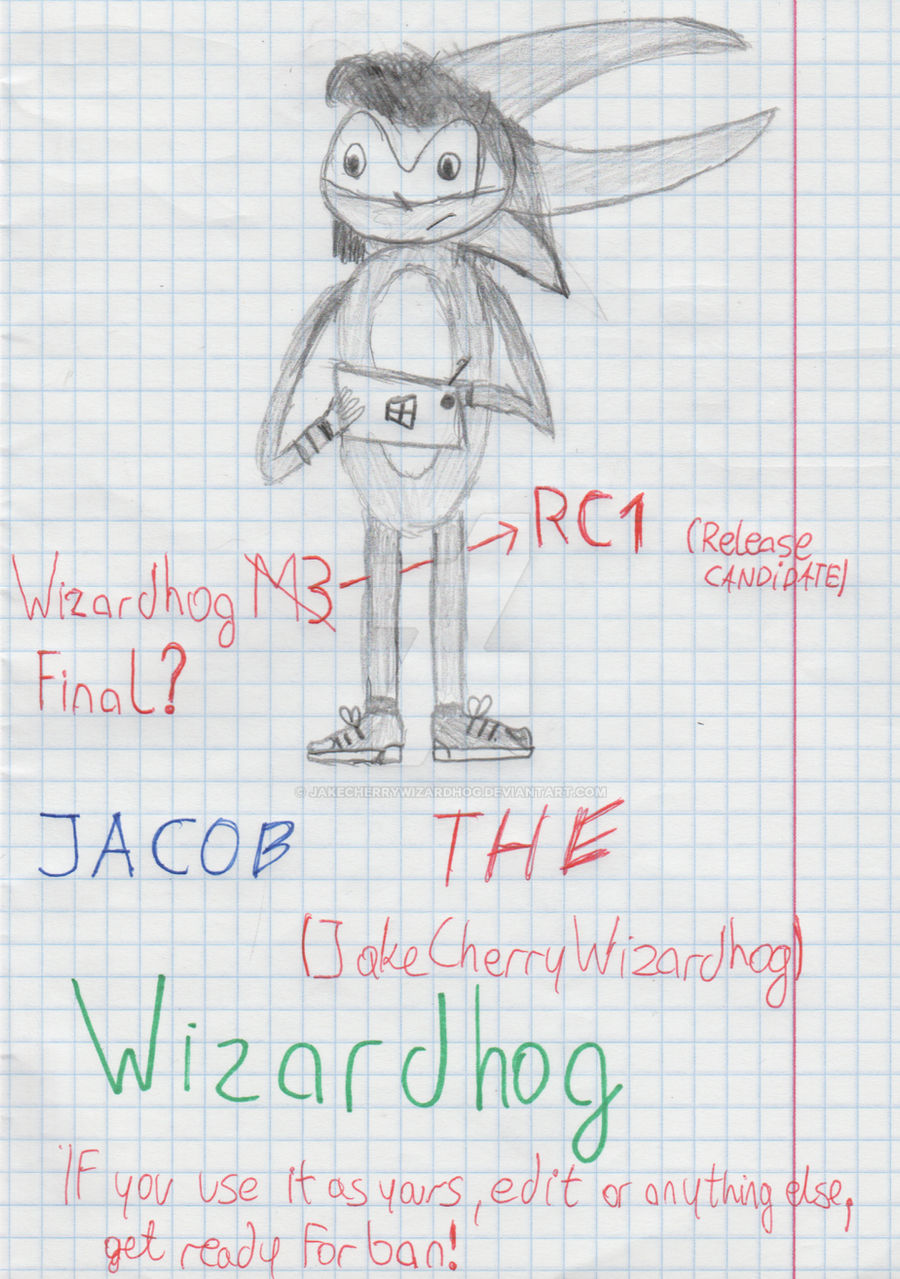 Jacob The Wizardhog ... Wizardhog RC 1