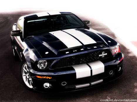 WALLPAPER: Shelby GT500_