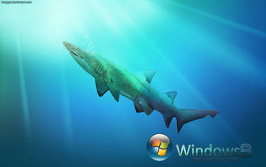 Windows 8 : Shark Edition